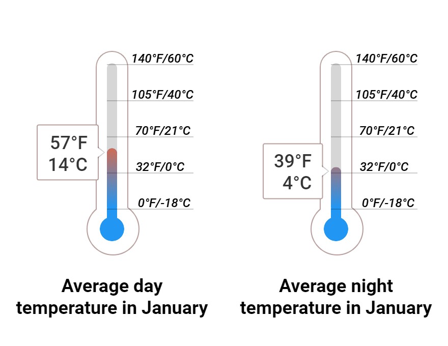 Average temperature